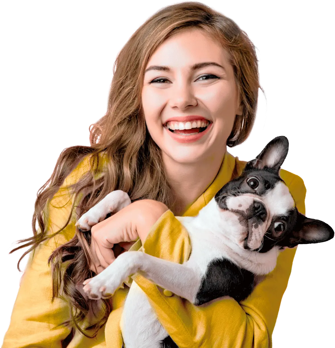 Elite Clínica Veterinária