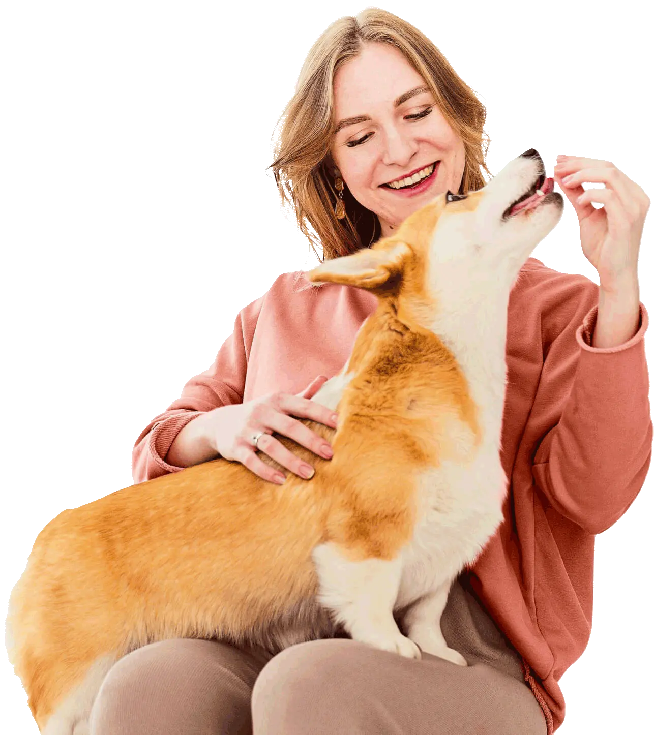 Elite Clínica Veterinária